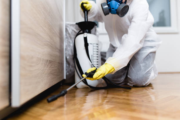Best Pest Control Near Me  in Thatcher, UT