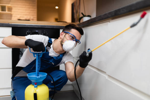 Best Pest Control Near Me  in Thatcher, UT