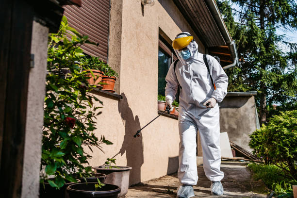 Best Local Pest Control Services  in Thatcher, UT