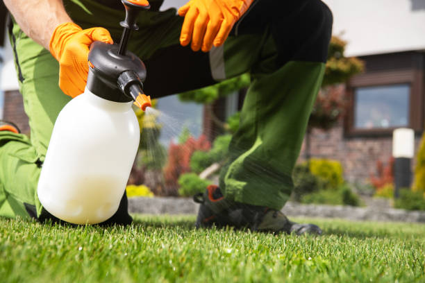 Best Affordable Pest Control Services  in Thatcher, UT