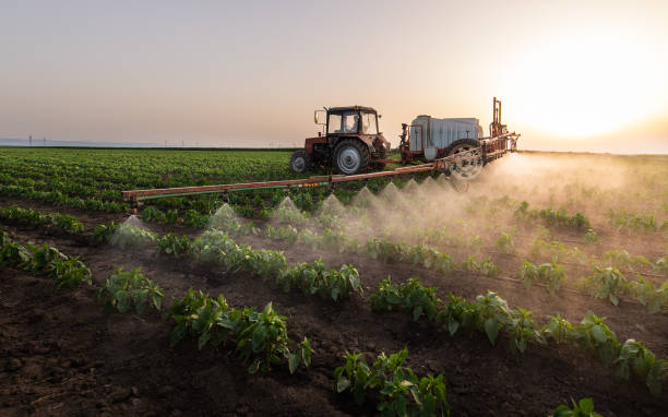 Best Pest Control for Homes  in Thatcher, UT
