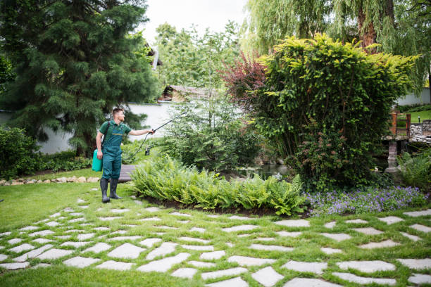 Best Affordable Pest Control Services  in Thatcher, UT