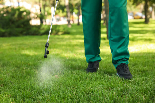 Best Mosquito Control Services  in Thatcher, UT