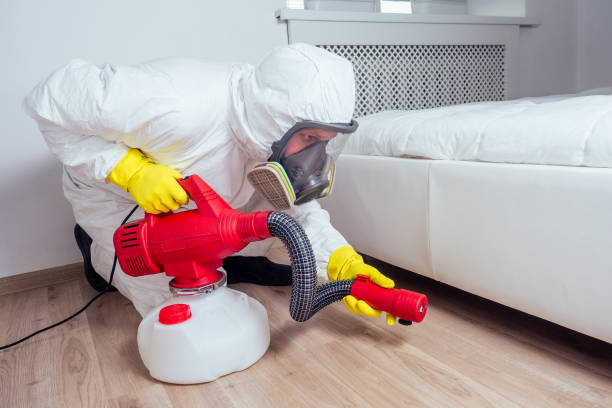 Best Best Pest Control Companies  in Thatcher, UT