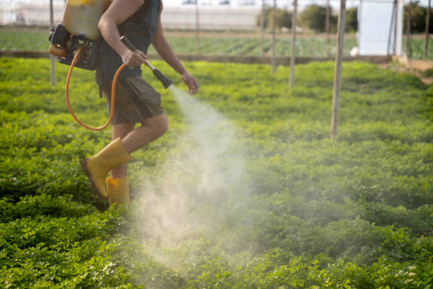 Best Exterminator Services  in Thatcher, UT