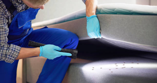 Best Exterminator Services  in Thatcher, UT