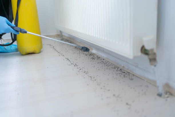 Best Pest Inspection Near Me  in Thatcher, UT
