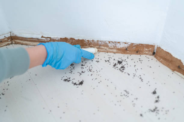 Best Pest Control for Restaurants  in Thatcher, UT